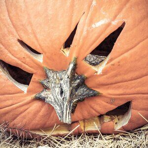 Meet your Posher, Rebekah